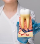זקוקים לטיפול שורש או לטיפול שיניים מורכב? כדאי שתפנו לאנדודונט-תמונה